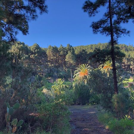 Monte Frio De Tenerife La Guancha Eksteriør bilde