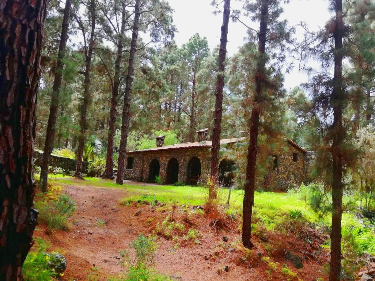 Monte Frio De Tenerife La Guancha Eksteriør bilde