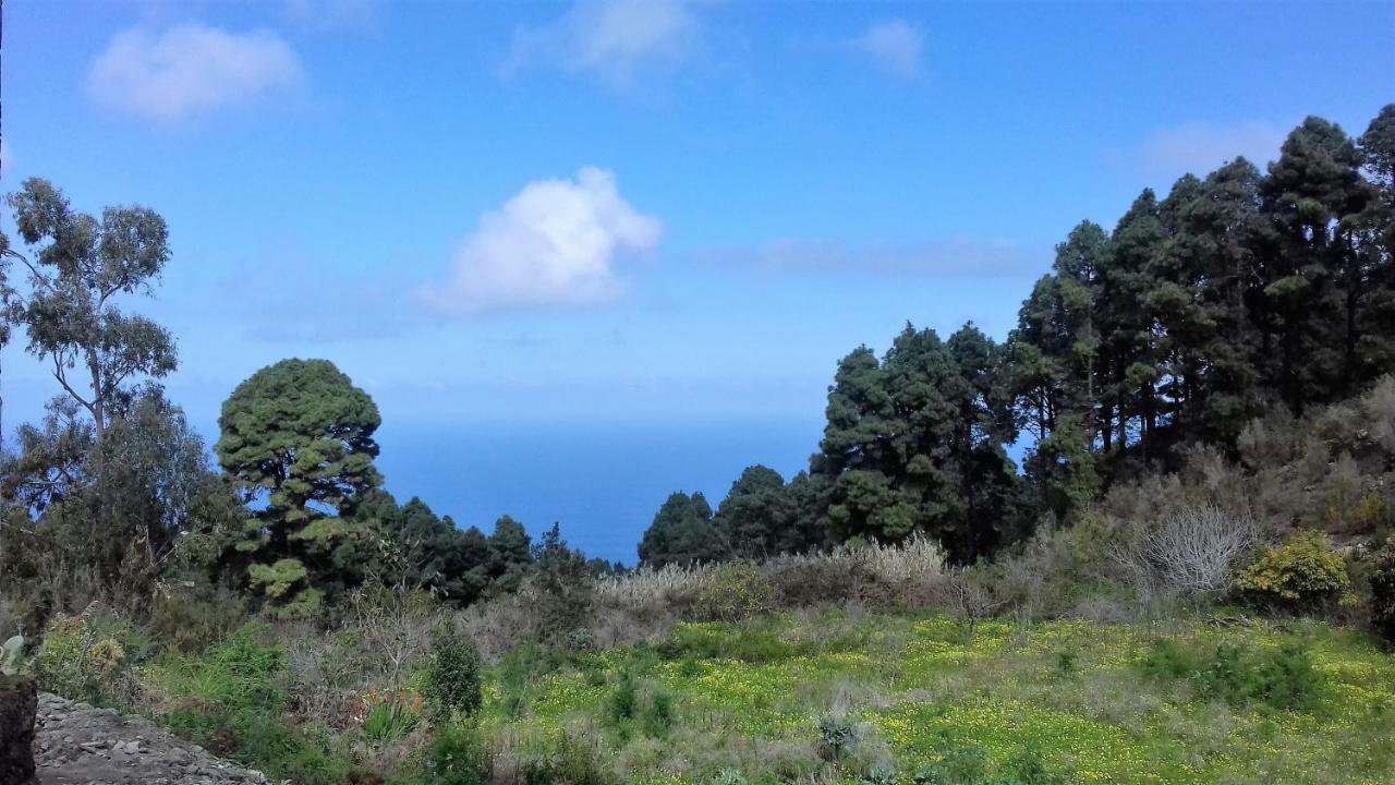 Monte Frio De Tenerife La Guancha Eksteriør bilde
